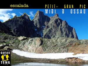 Anunucio MIDI PETIT GRAN